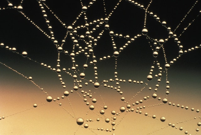 A spiderweb in close focus is covered in many dewdrops against a gradient black to yellow background.